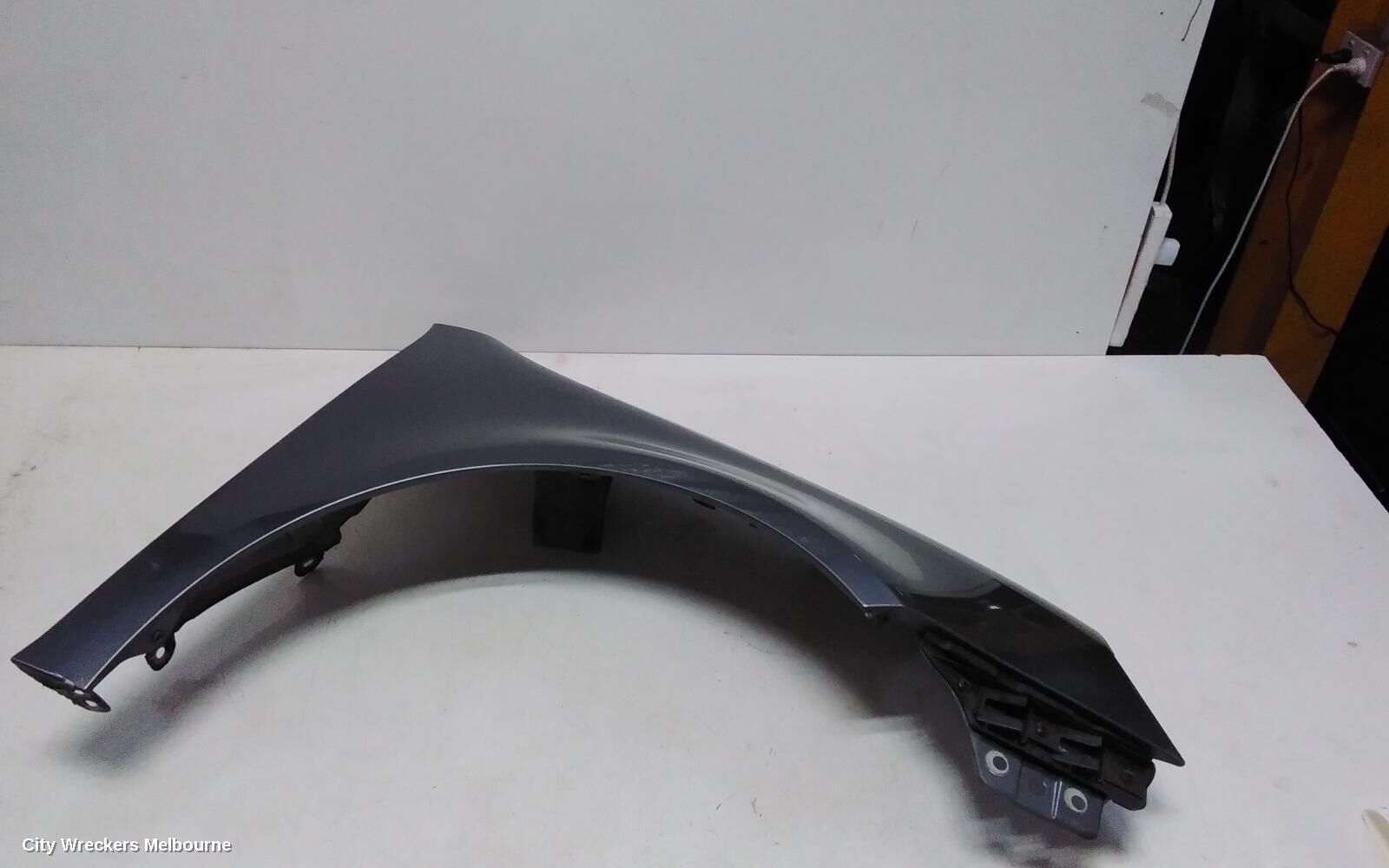 VOLKSWAGEN GOLF 2007 Right Guard