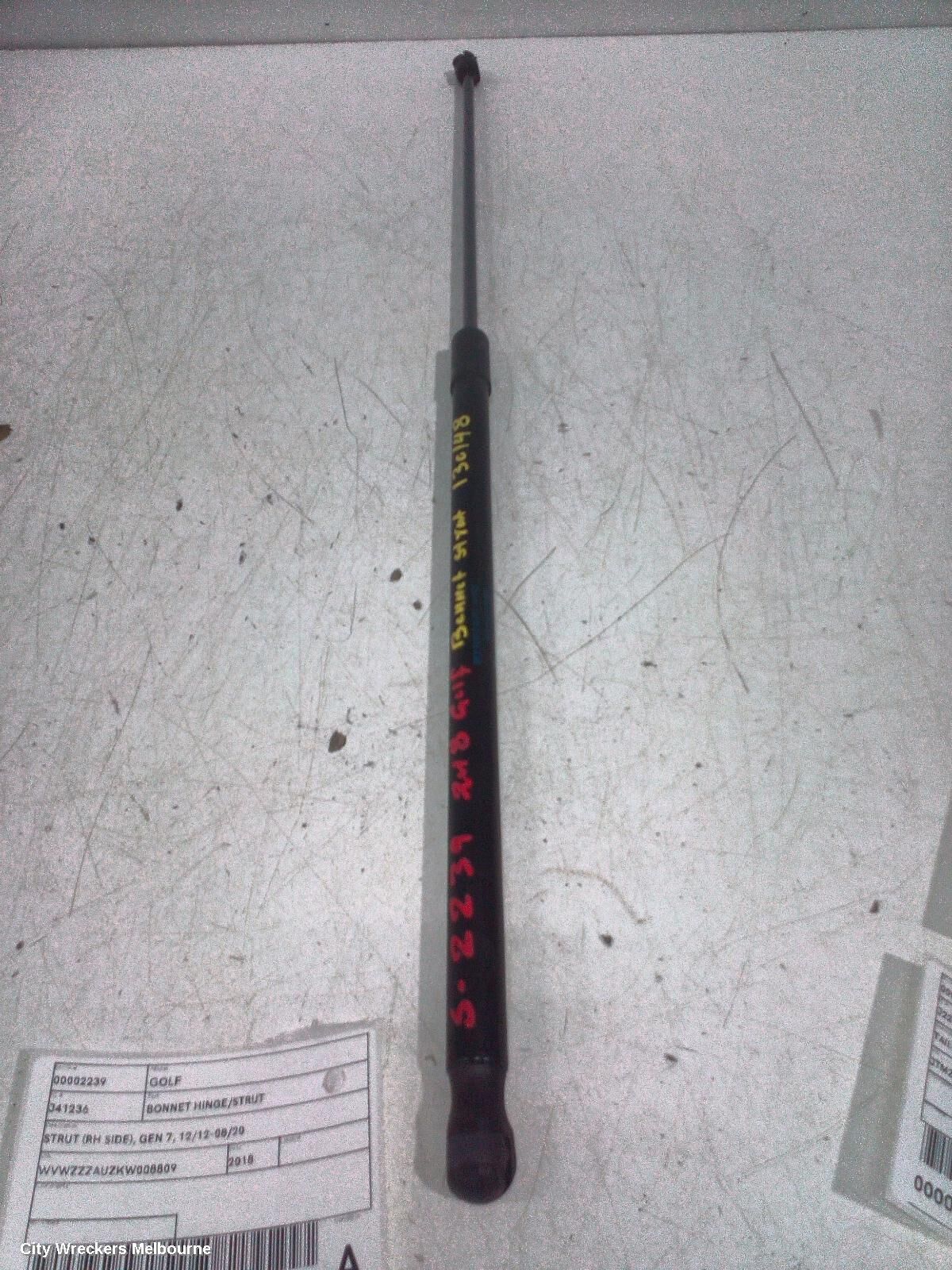 VOLKSWAGEN GOLF 2018 Bonnet Hinge/Strut