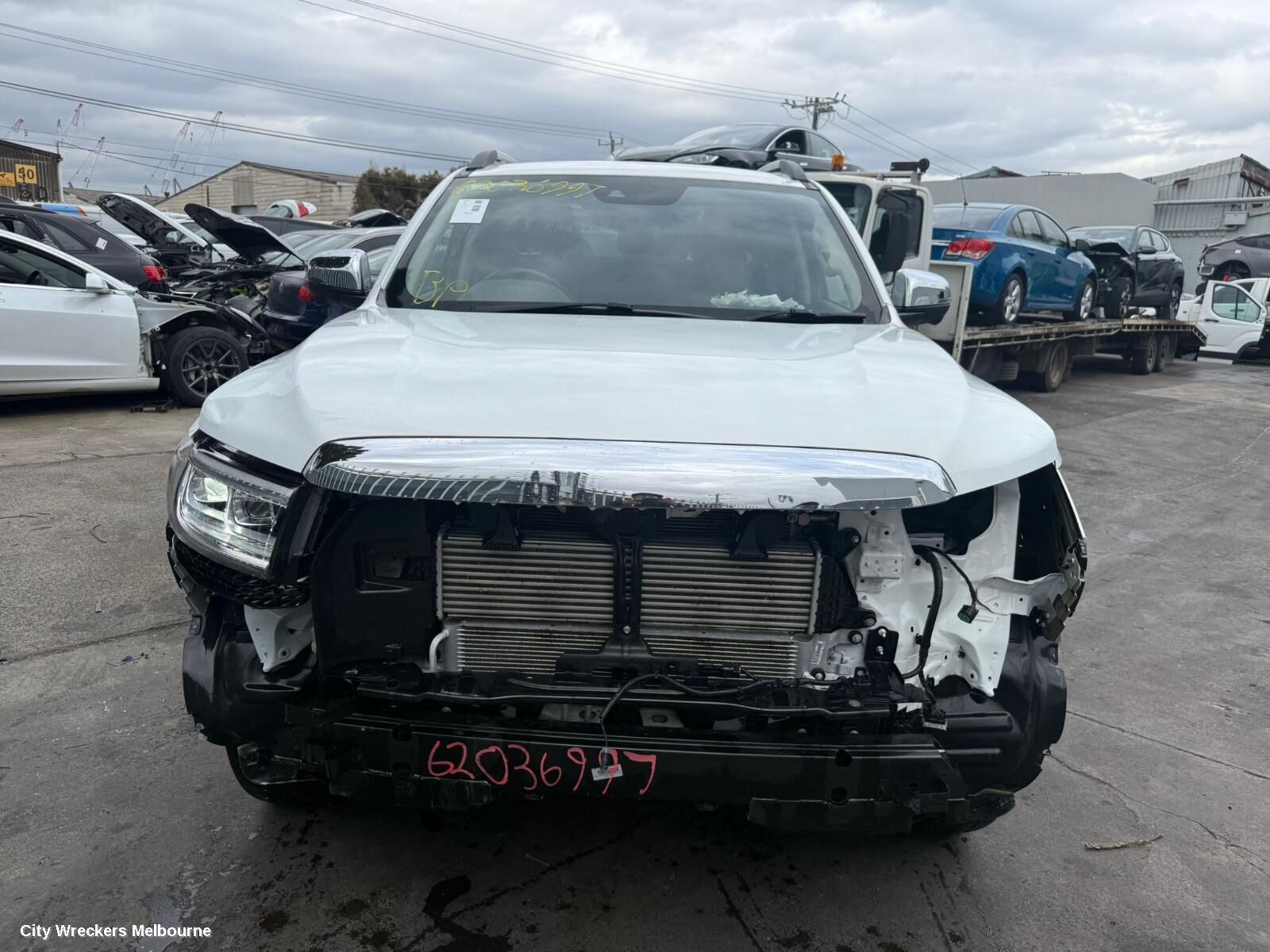 GREAT WALL CANNON UTE 2022 Ute Back