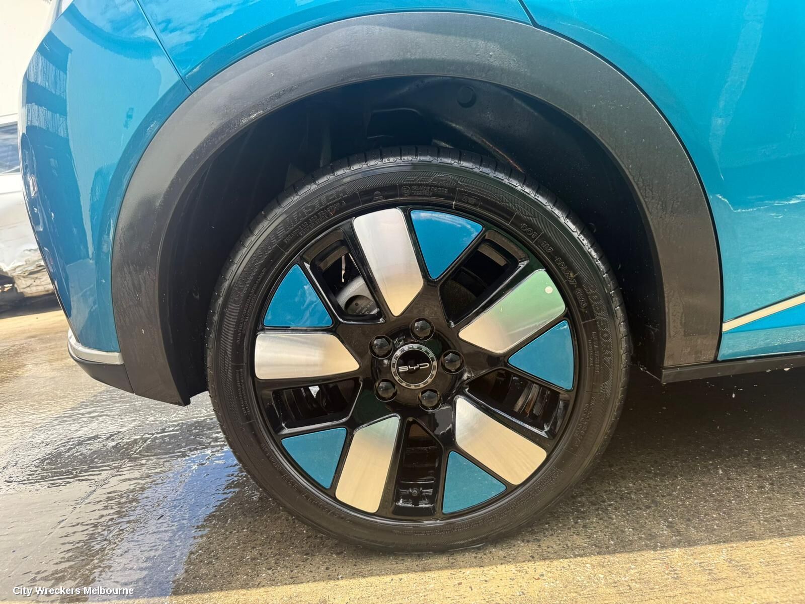 BYD DOLPHIN 2023 Wheel Mag