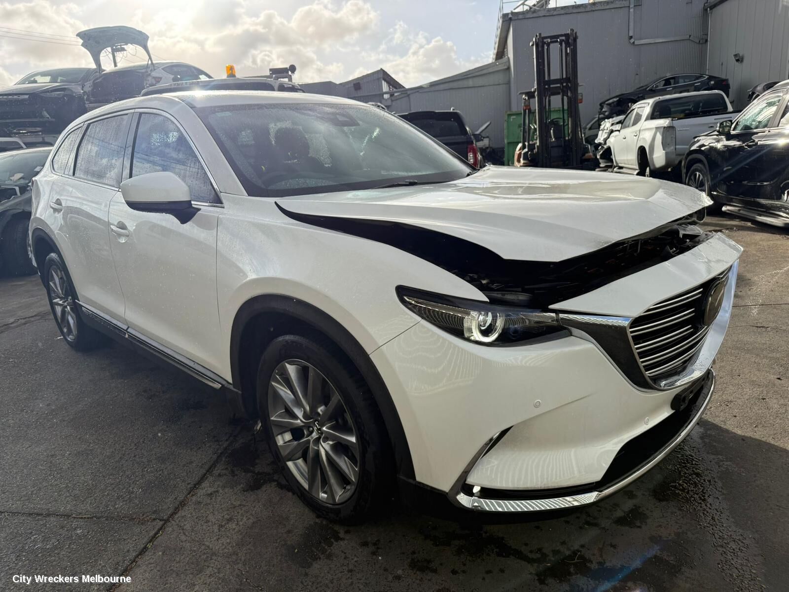 MAZDA CX9 2018 Left Door Mirror