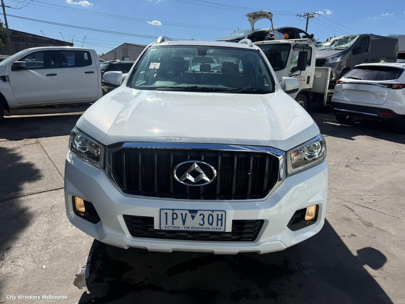 LDV T60 2019 Fan