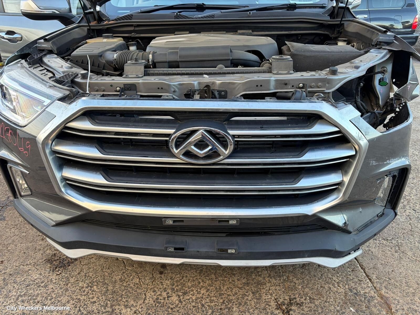 LDV D90 2022 Grille
