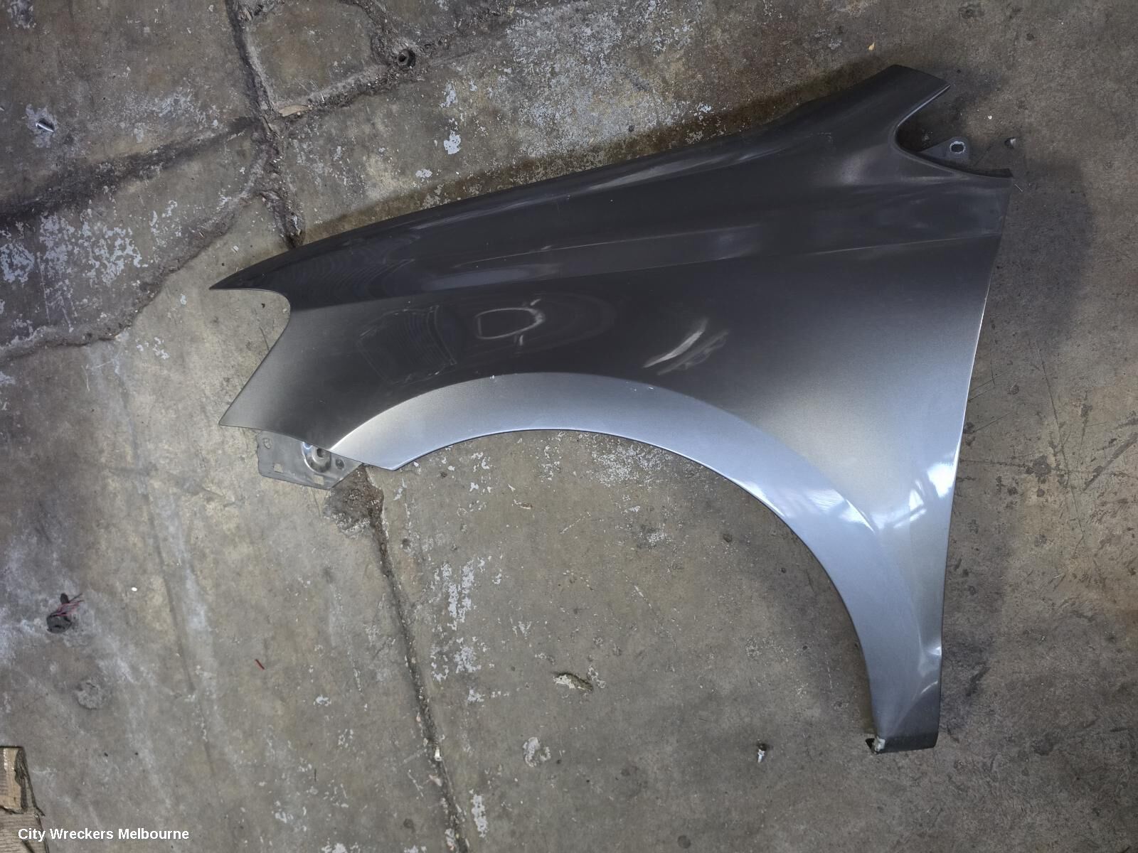 VOLKSWAGEN POLO 2014 Left Guard