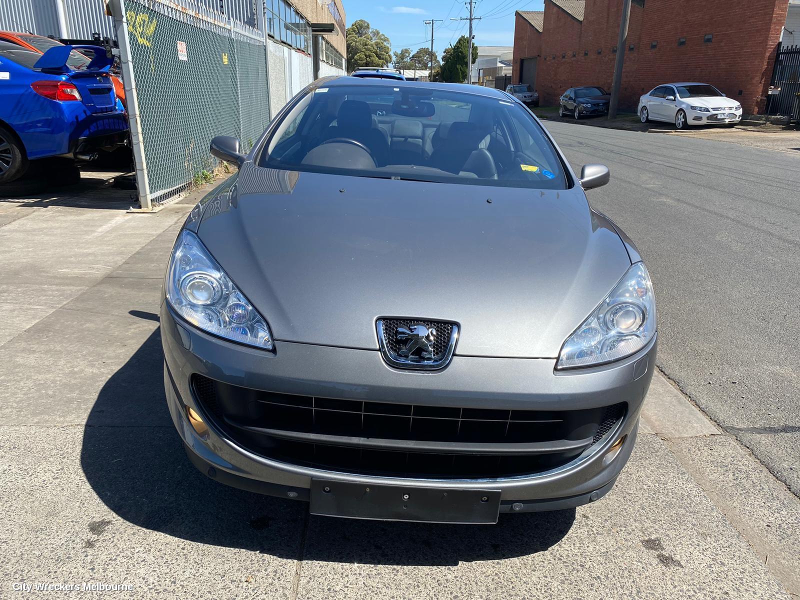 PEUGEOT 407 2009 Courtesy Light